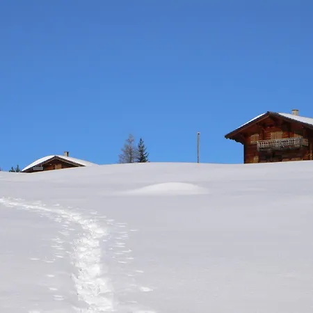 Grifla Апартаменти *