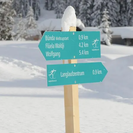 Grifla Davos