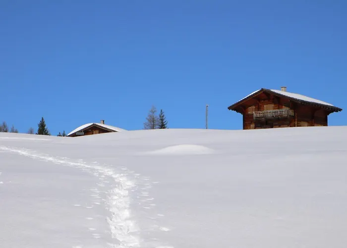 Grifla Διαμέρισμα *