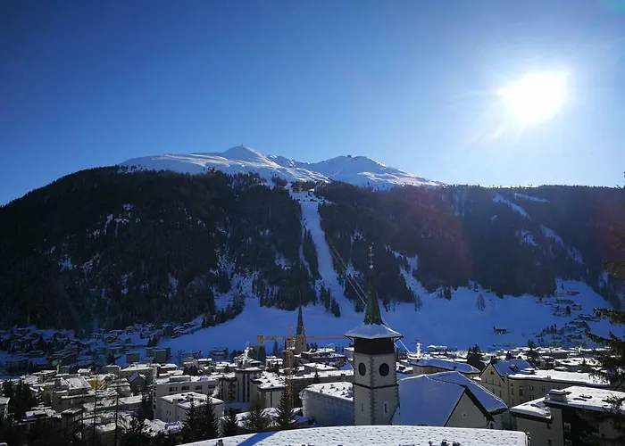 Grifla Διαμέρισμα *